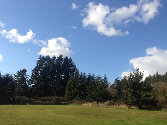 除此之外