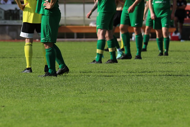 出的结果 出的结果