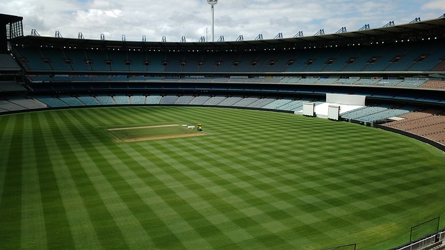 域整体经济 域整体经济