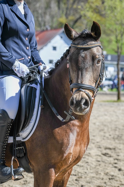 EP实施带 EP实施带