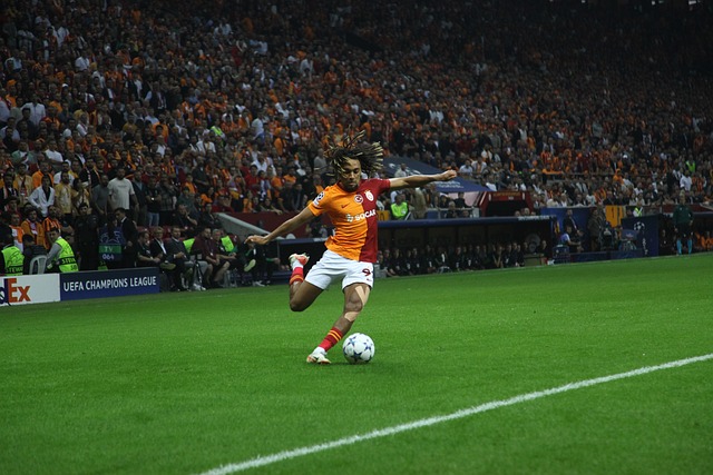 度和灵活性 度和灵活性