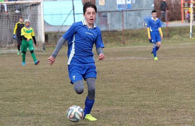 明了其对比 明了其对比