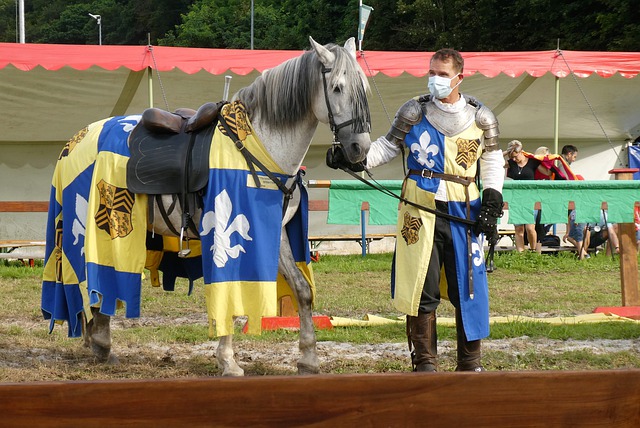 患者进行了 患者进行了