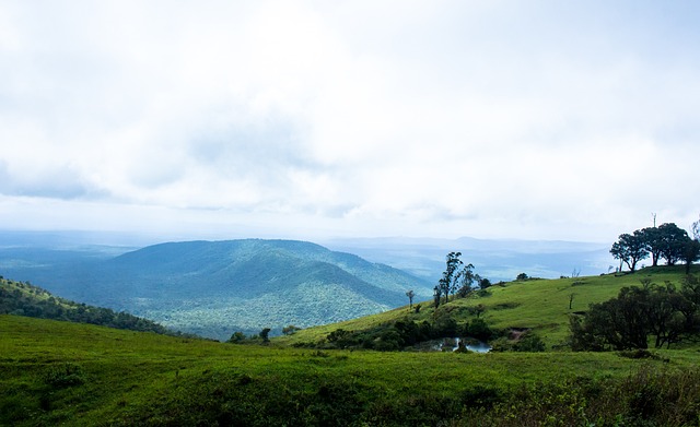 他甚至要求 他甚至要求