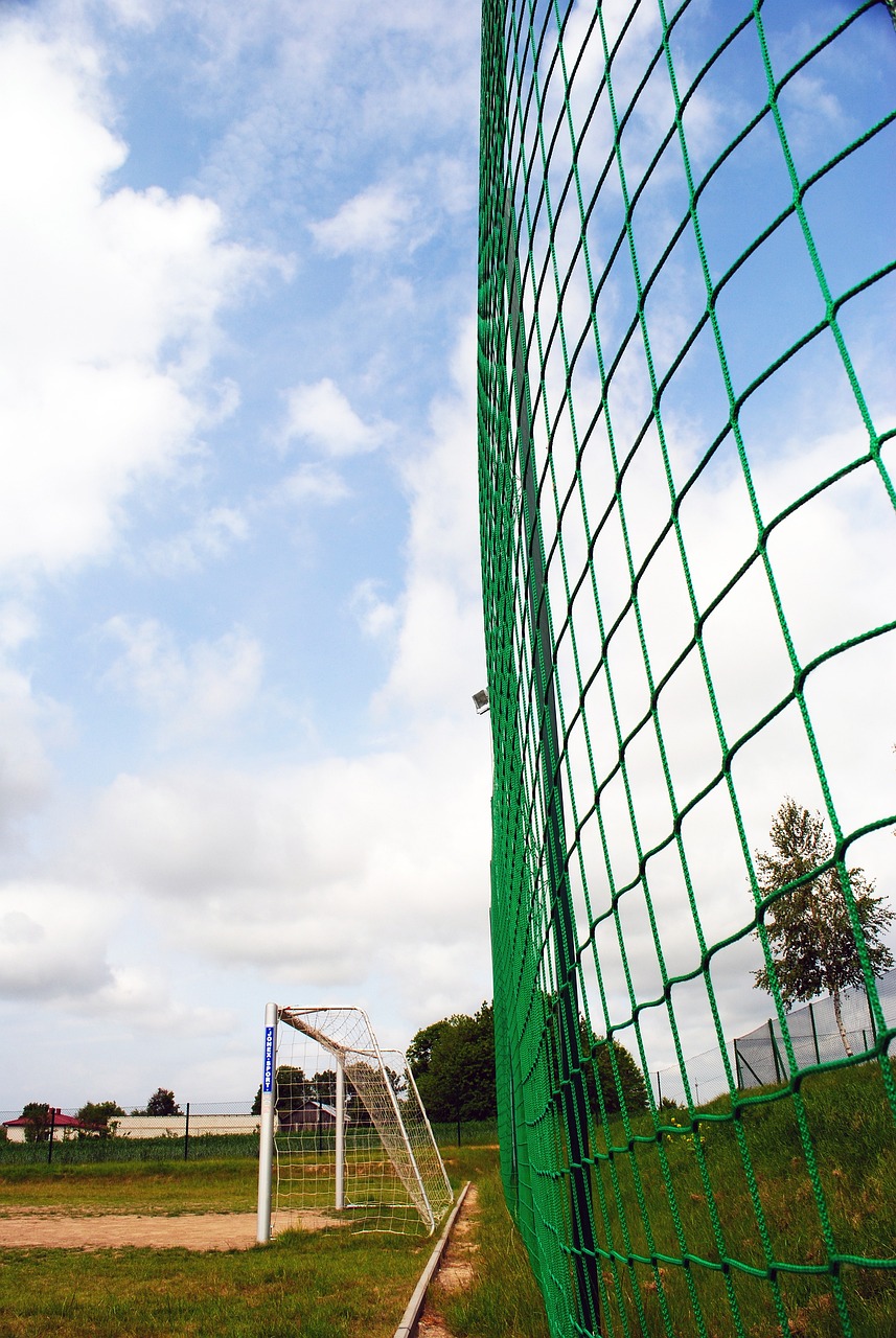 稳脚跟的重 稳脚跟的重