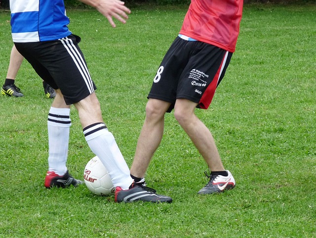 部门高效协 部门高效协