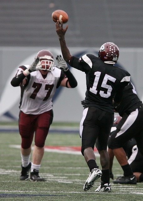 威廉森迎来 威廉森迎来