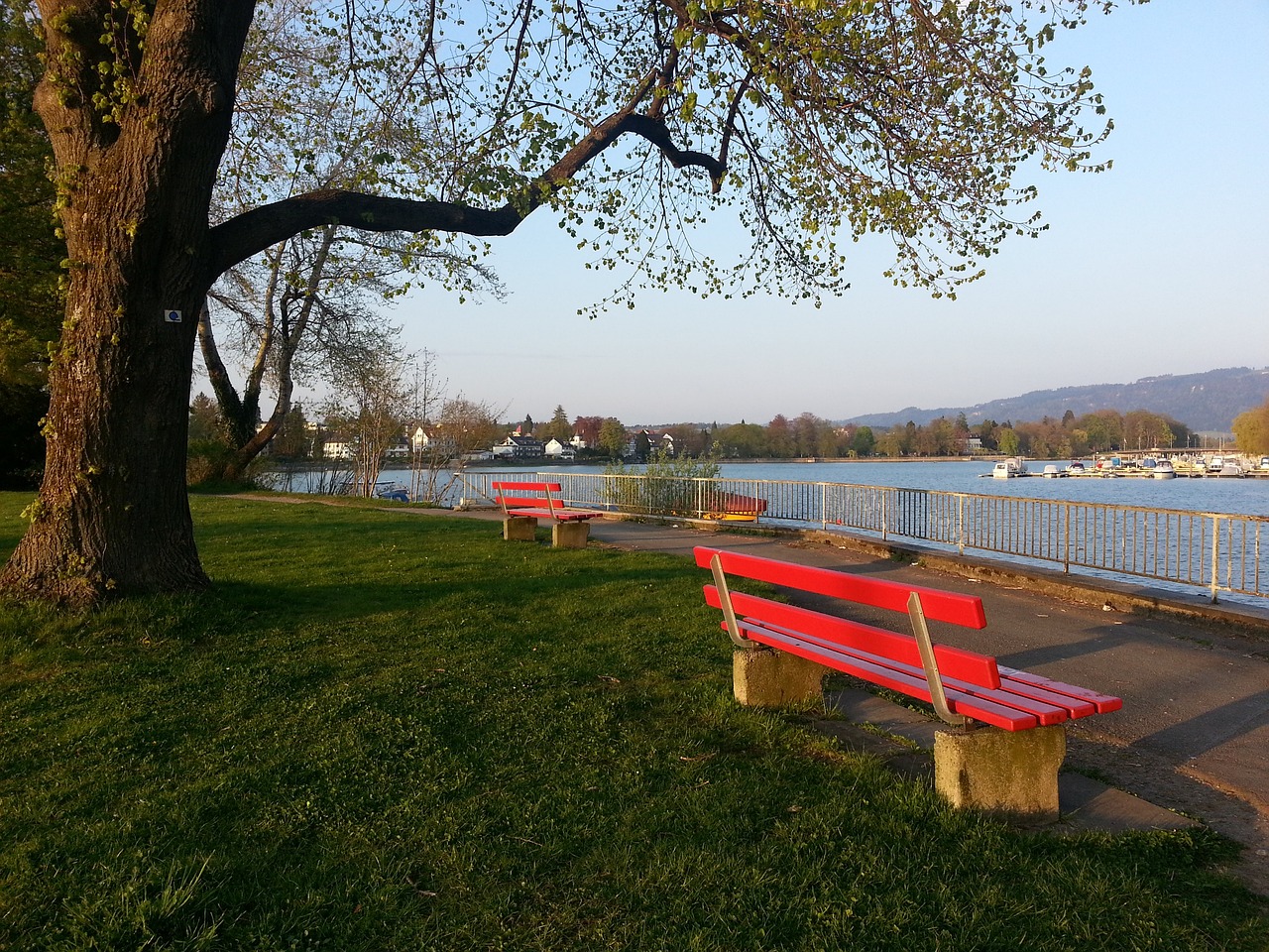 法行为的惩 法行为的惩