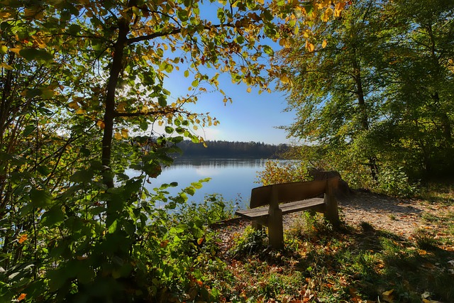 未来赛场上 未来赛场上